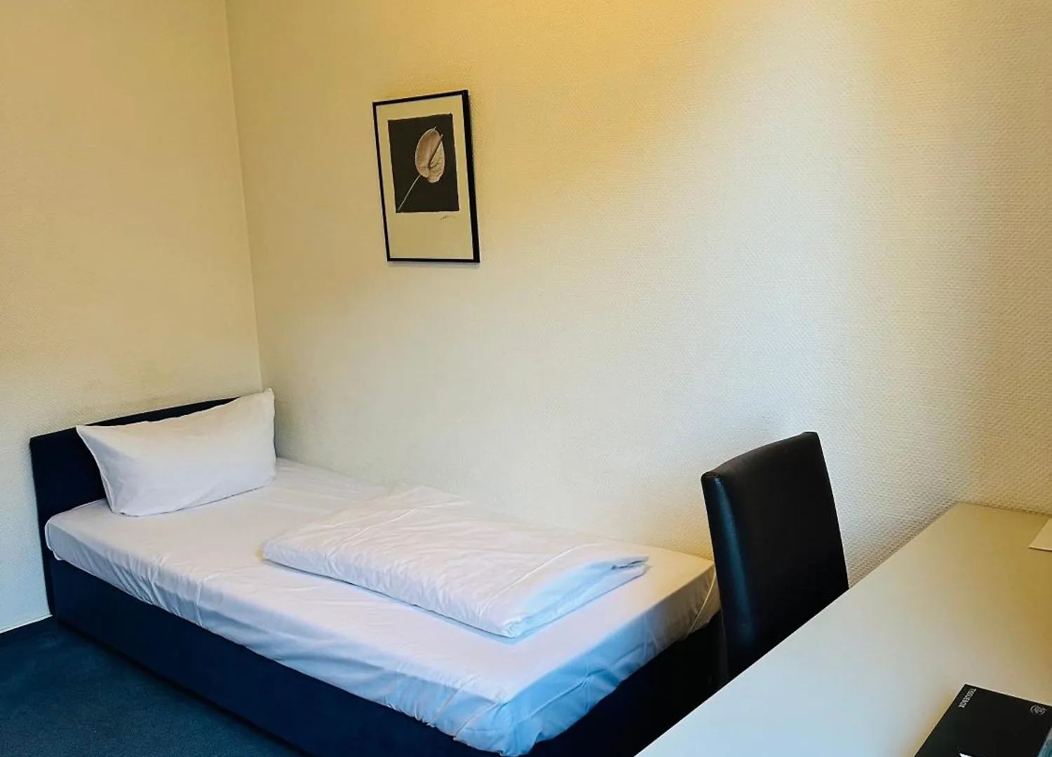 Badischer Hof Hotel Mannheim 3*,  Germany