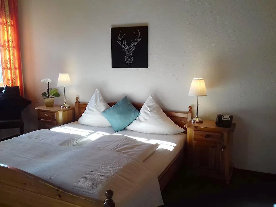 Badischer Hof Hotel Mannheim 3*,